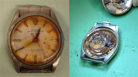 Rolex eaten by a cow in 1974 restored by Dutch team.